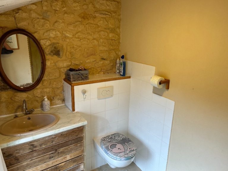 Toilette3